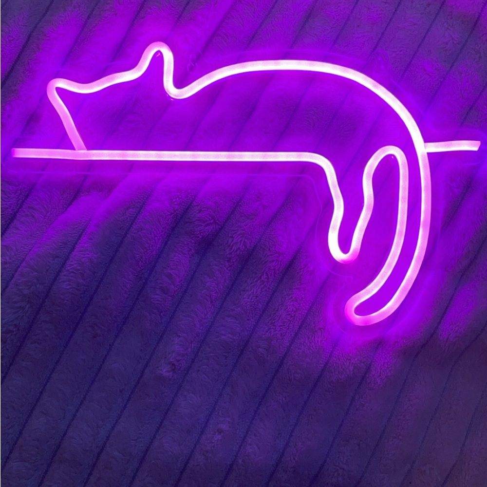 Cat neon sign